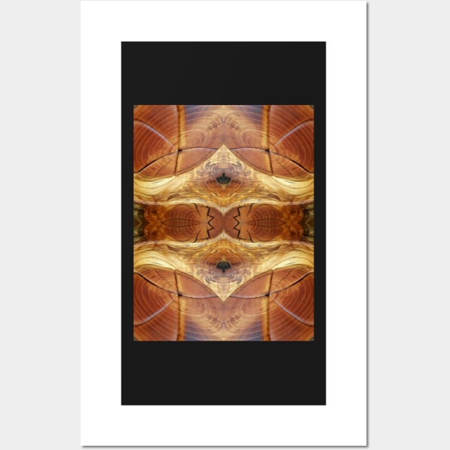 Golden Wood Grain Crown (Large print) by Adelaide Artist Avril Thomas Wall Art by AvrilThomasart